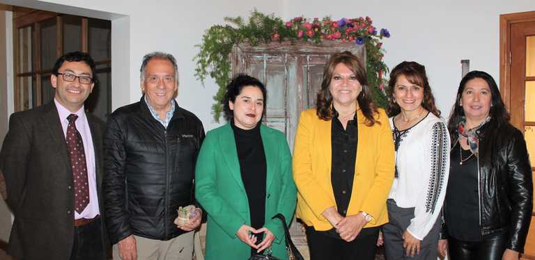 Pablo Portilla, Rodrigo Iribarren, Leslie Azócar, Alejandra Aguilera, Marcela Daire y Luz Marina Gómez.