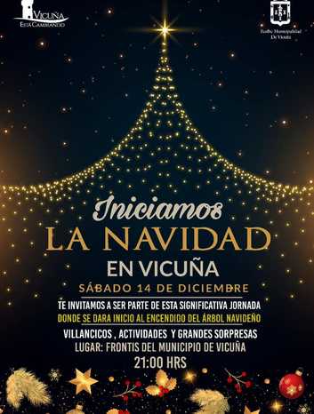 Llegó la navidad a Vicuña