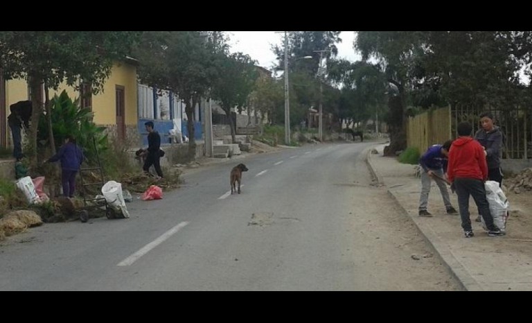 Operativo de Limpieza Pueblo Las Rojas