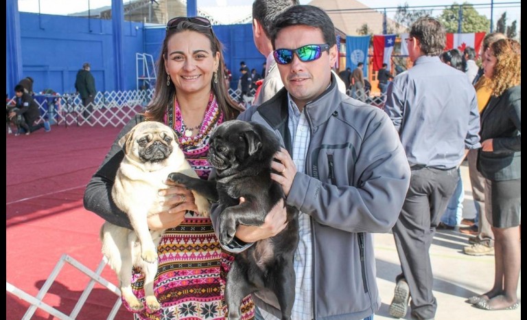 Melissa Lancellotti con Arenita; y Louis Partarrieu con Sobreviviente, de raza Pug.