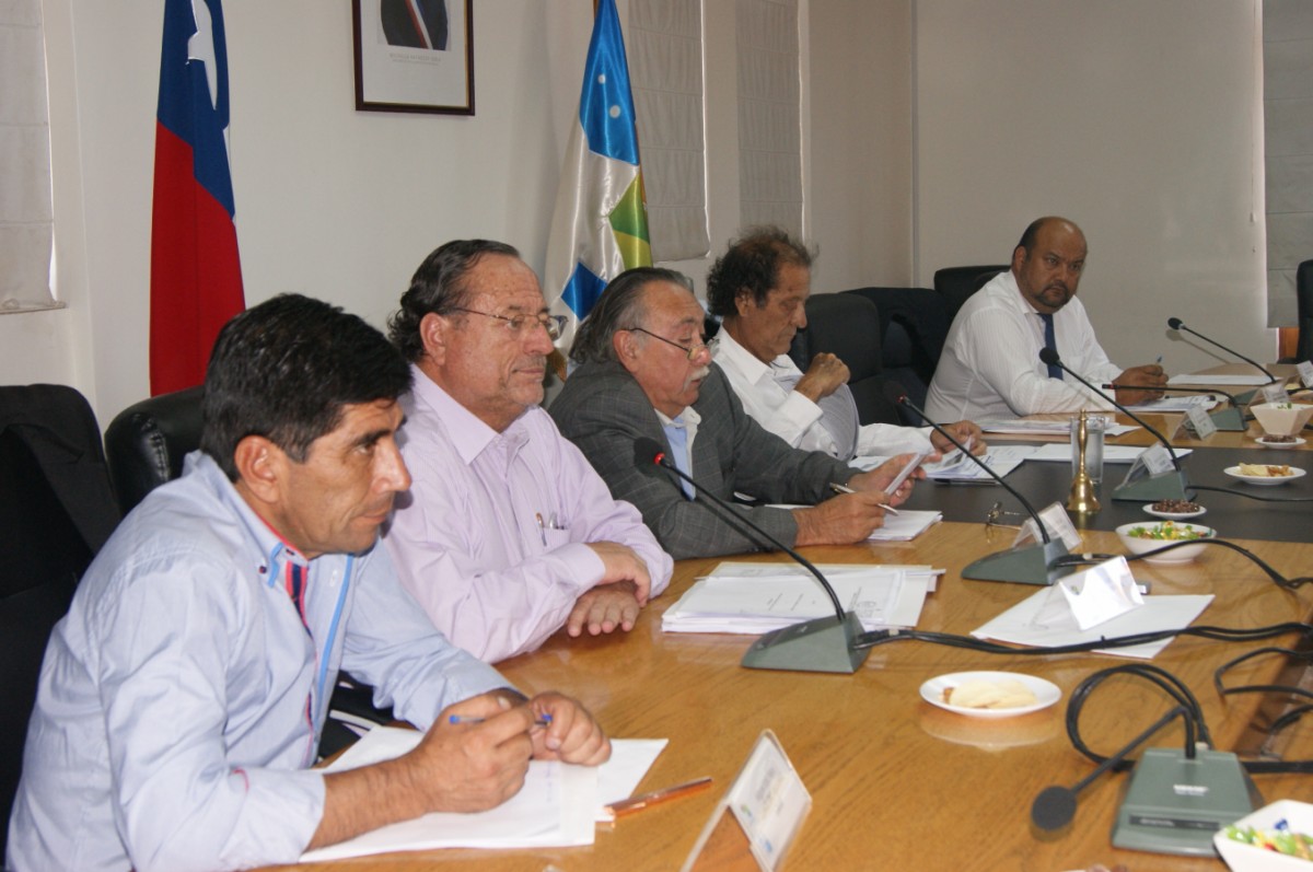 La Comisión de Medio Ambiente del Consejo Regional escuchó la propuesta plasmada en el acuerdo marco. Foto: Prensa CORE 