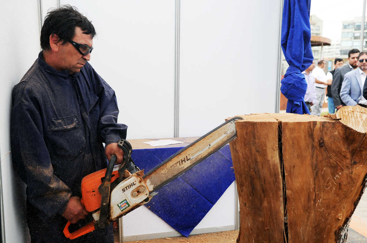 Edgardo Cárcamo, artesano, esculpiendo tronco de palto con motosierra.