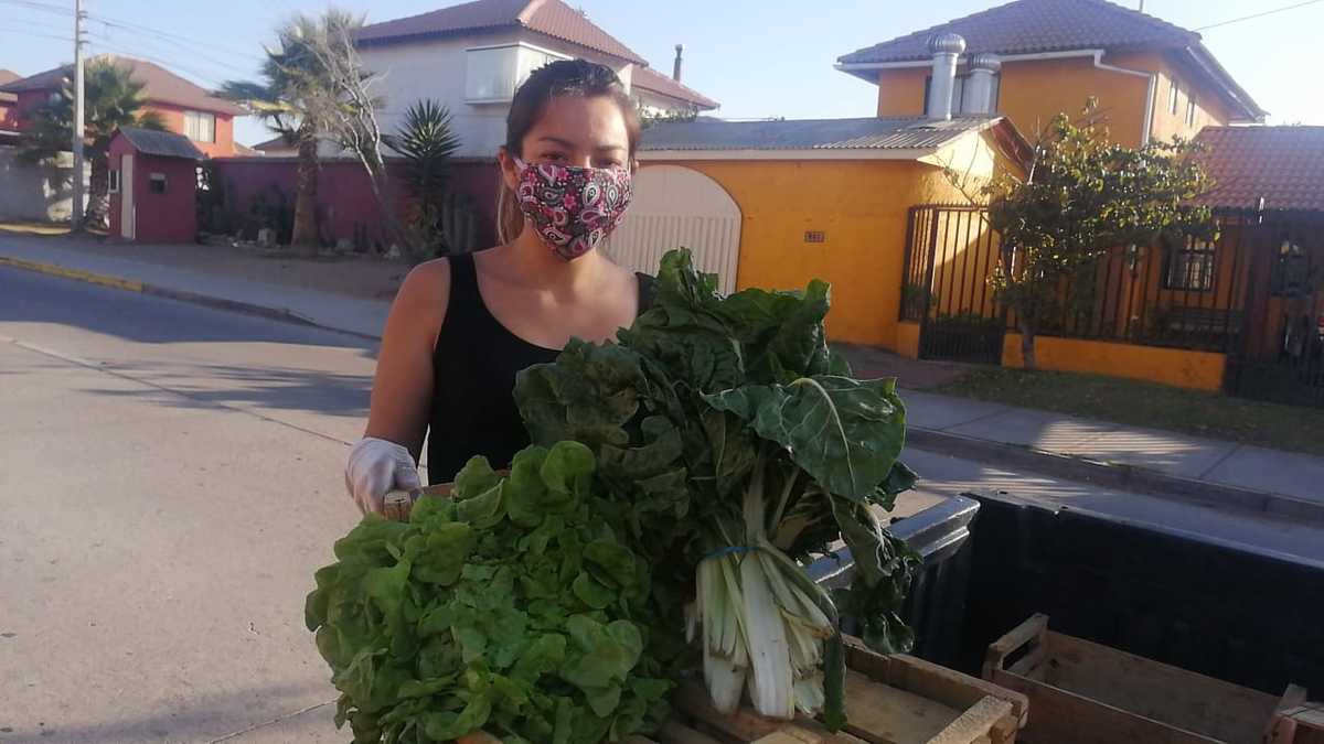 Kimberly Soto de Súper Canasta trabaja todos los días y recibe pedidos hasta las 10 de la mañana, ya que su pareja extrae diariamente desde el campo lo justo para el día, asegurando que la mercadería es fresca.