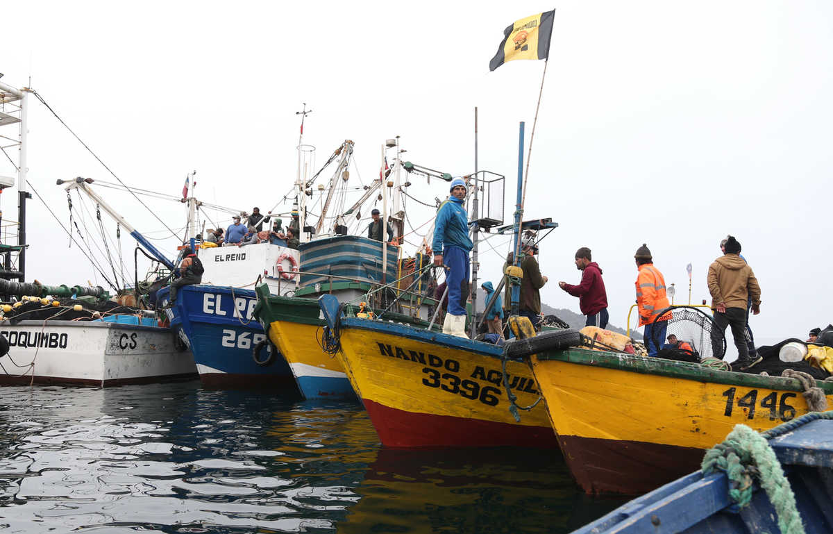 Cerca de 15 embarcaciones de la pesca artesanal se manifestó frente a la zona de desembarque de la Pesquera Orizon para que les recibiera una cuota de jurel, el que pueden sacar con facilidad ahora que está solo a mil millas.