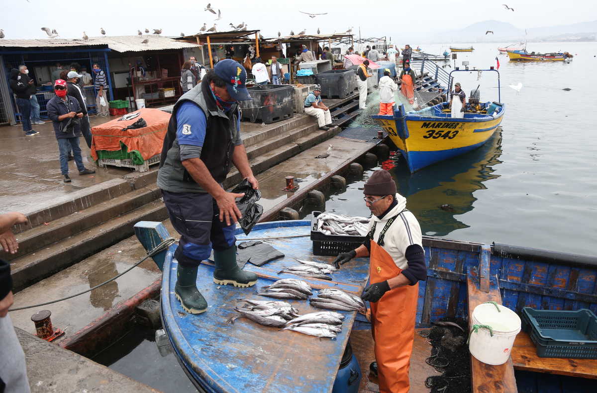 Los pescadores artesanales incluso venden su captura directo al consumidor, pero se trata de embarcaciones pequeñas, botes y lanchas.
