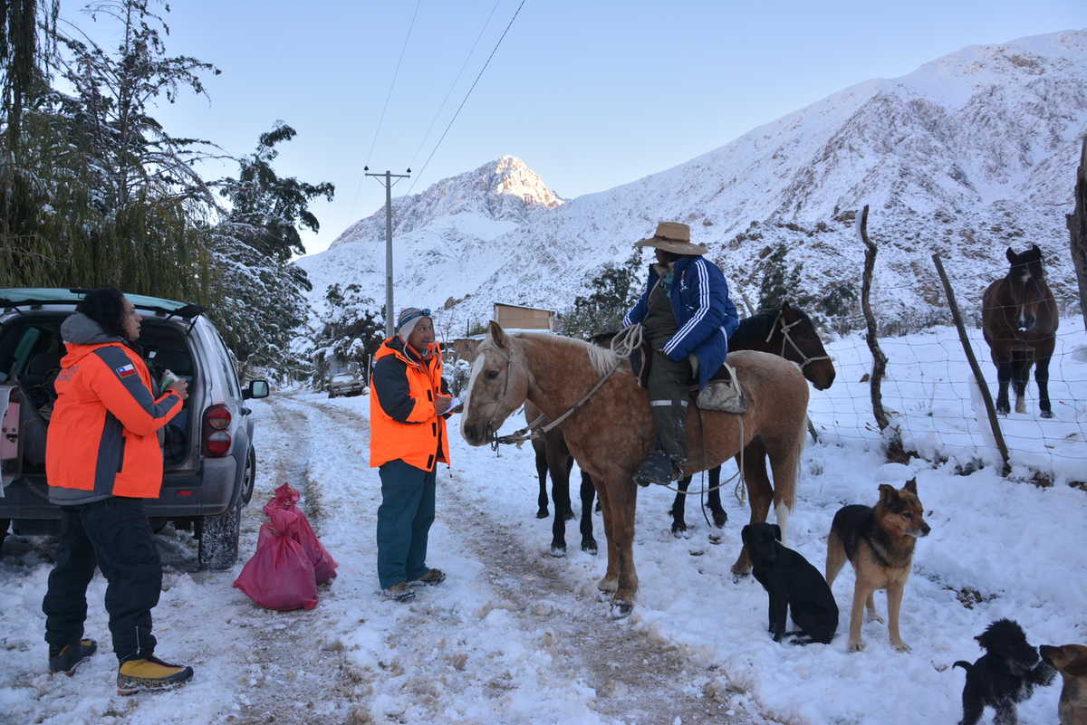 Los arrieros y sus animales fueron buscados por varios días. Foto: CSA Región Coquimbo
