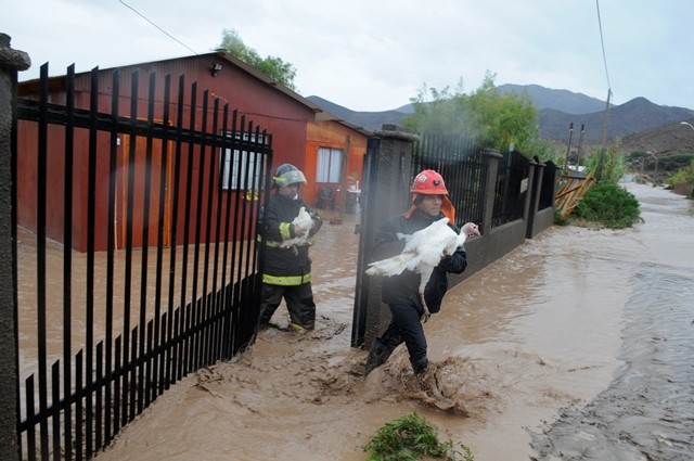 Las medidas operarán solo para las personas que resultaron con daños durante el temporal. 