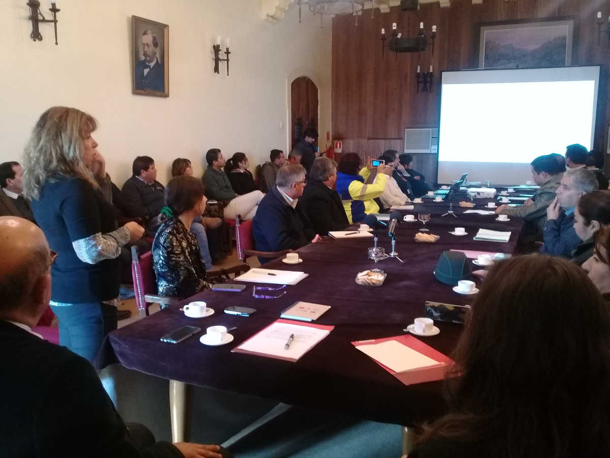 A la izquierda (de pie), Carmen Paz, vicedecana de la Universidad de Chile, expone sobre el estudio de prevención de catástrofes que se realiza en La Serena.