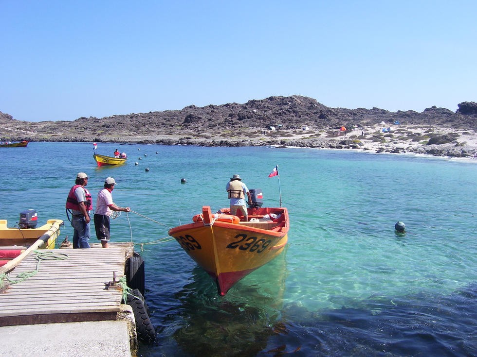 Foto Municipalidad de La Higuera