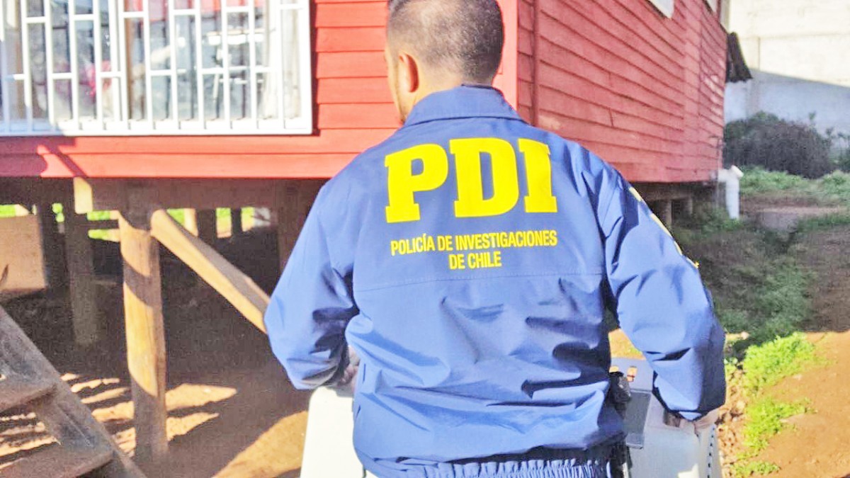 La PDI y personal municipal realizaron el rescate de los perros 