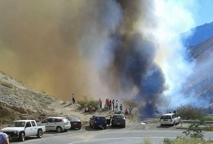 Incendio en Paihuano 