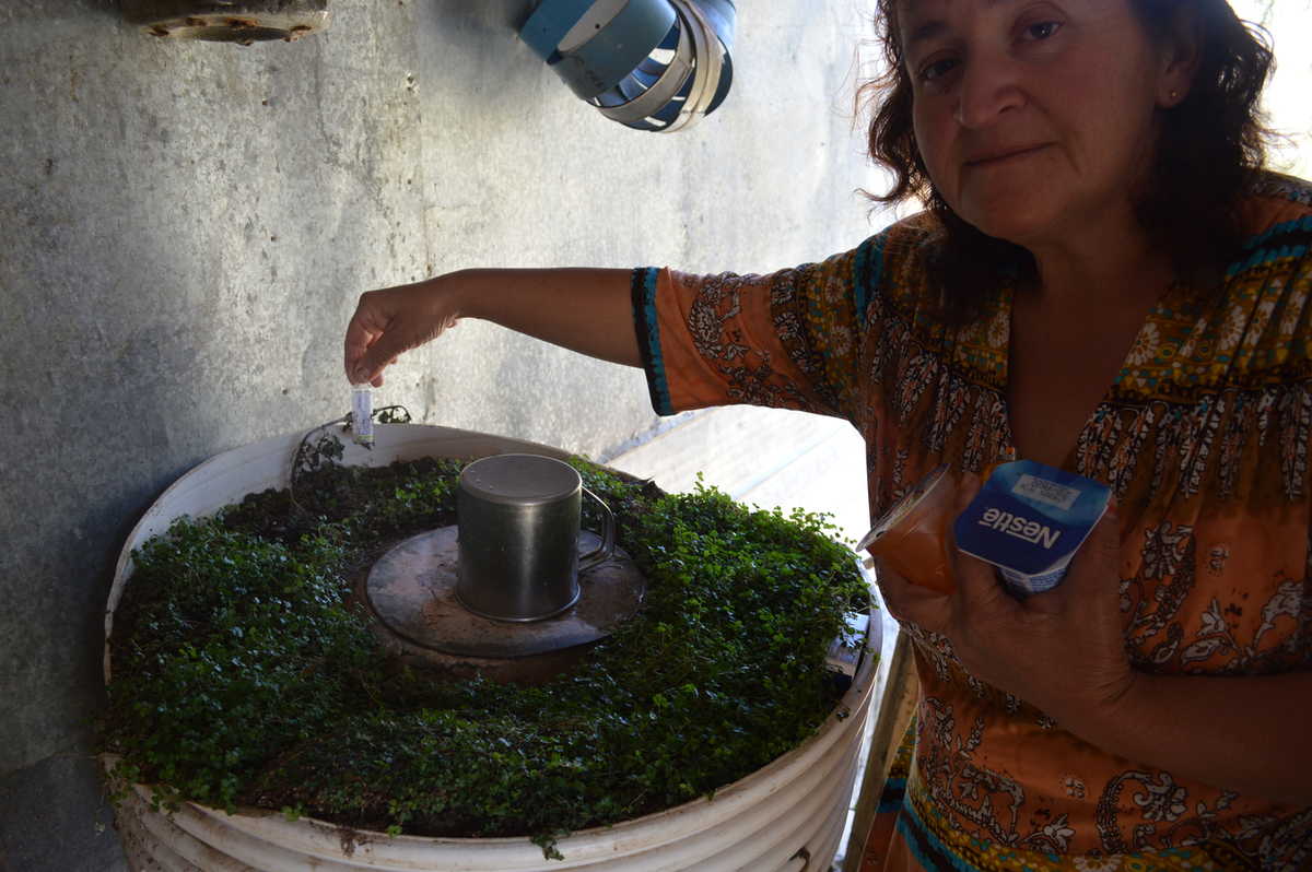 La vivienda no cuenta con electricidad por lo que debe refrigerar su insulina en un improvisado tambor con agua, cubierto con tierra y plantas.