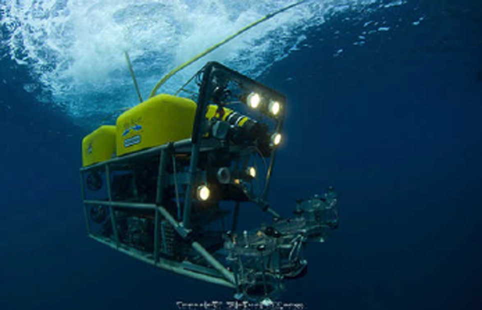 El ROV (Remotely Operated Vehicle) con el que colaboró Oceana fue el que hizo posible este hallazgo. 