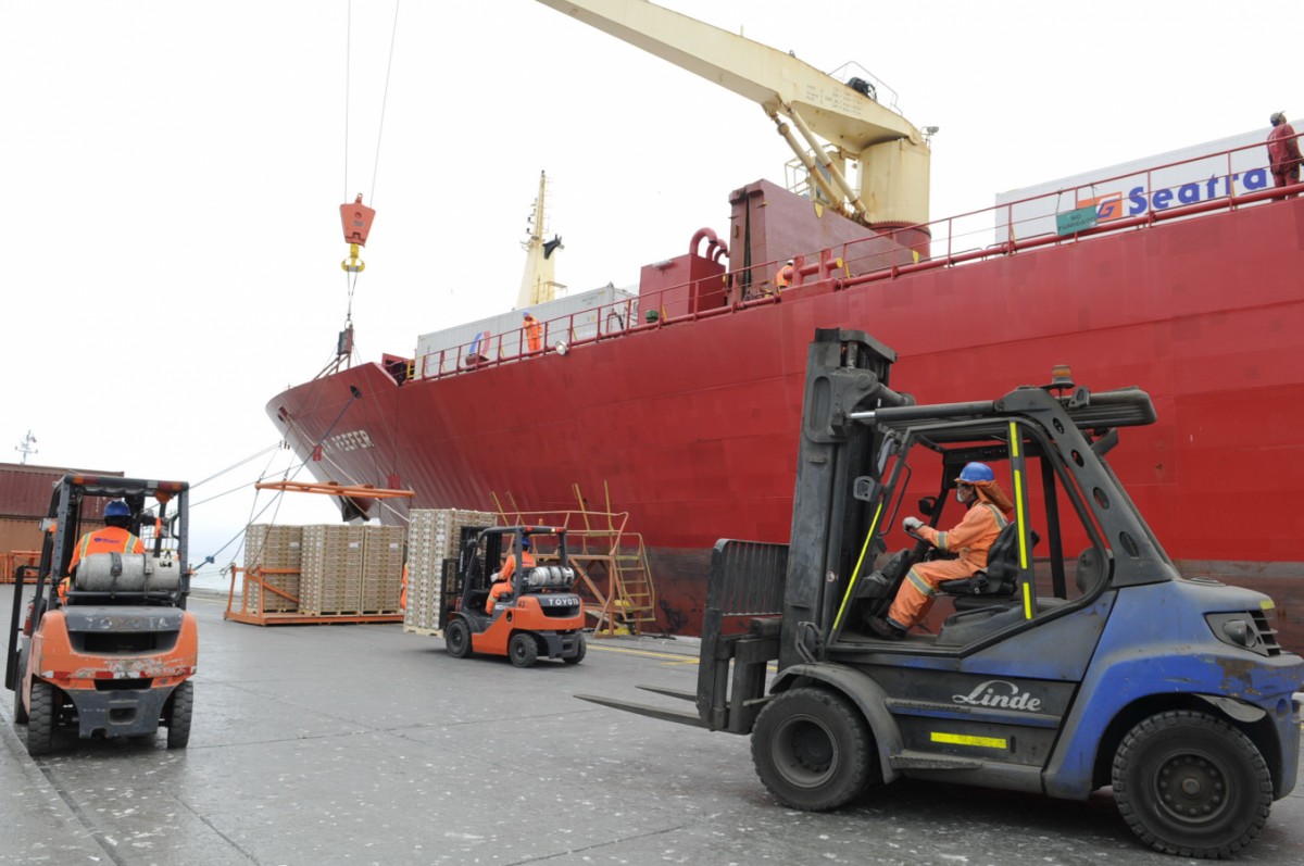 El primer buque de la  temporada es de la línea naviera Cool Carriers, que embarcaría un total de 6 mil pallets. FOTO ANDREA CANTILLANES 