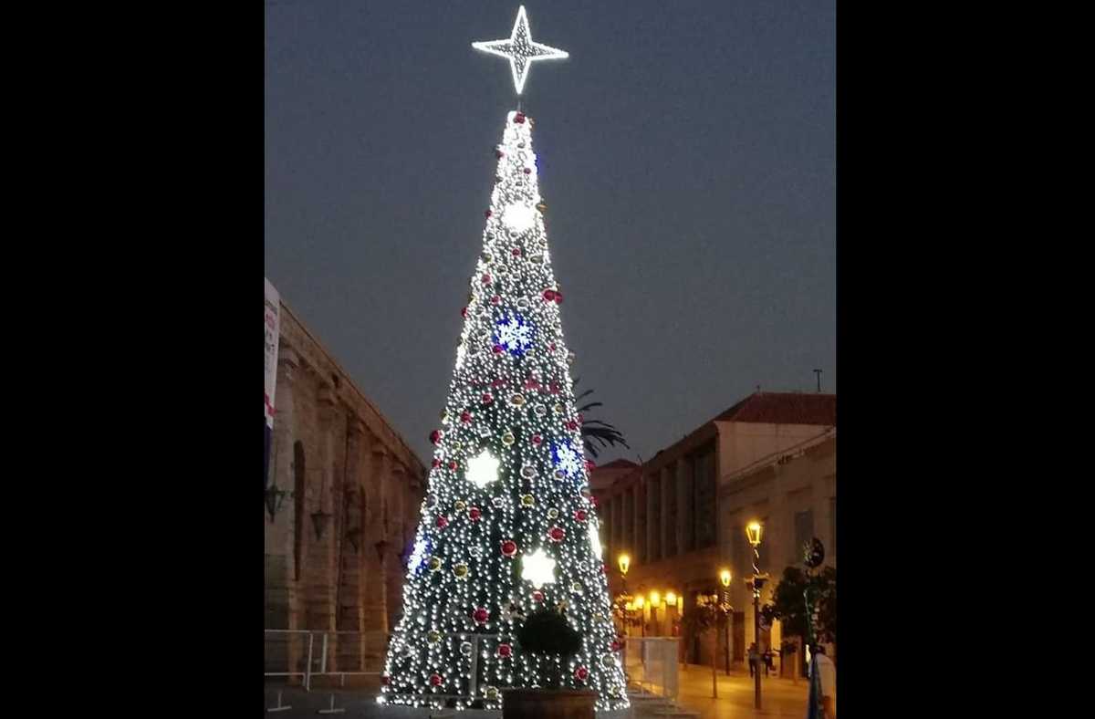 El árbol navideño de La Serena se ubica a un costado de la ciudad