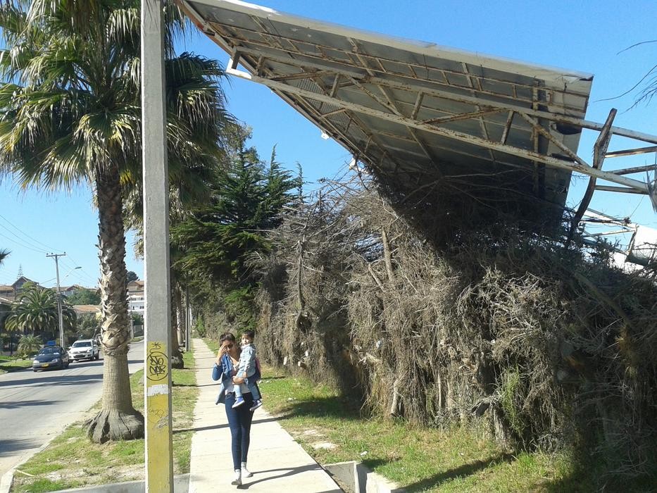 Letreros caídos siguen siendo el rastro del temporal