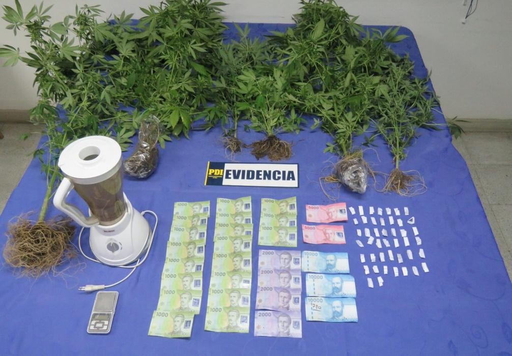 Detienen a dos sujetos que cultivaban marihuana dentro de la casa