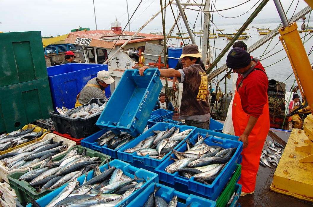 Coquimbo: Gremio artesanal apunta a cambiar ley de Pesca y exige compromisos del Gobierno
