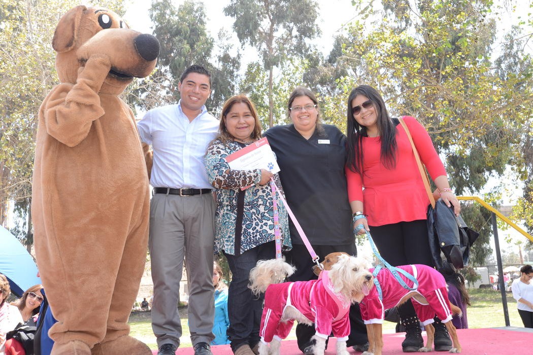 Amos cuentan sus historias con mascotas recogidas de la calle