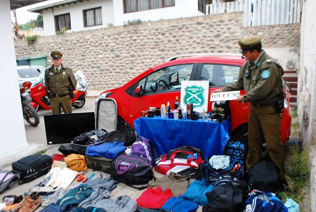 Carabineros de Coquimbo detienen a antisociales y recuperan especies