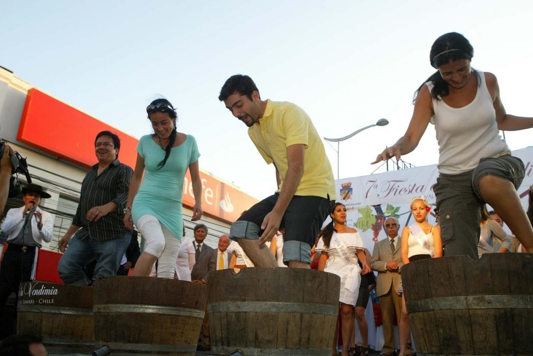 Fiesta de la vendimia se toma Ovalle