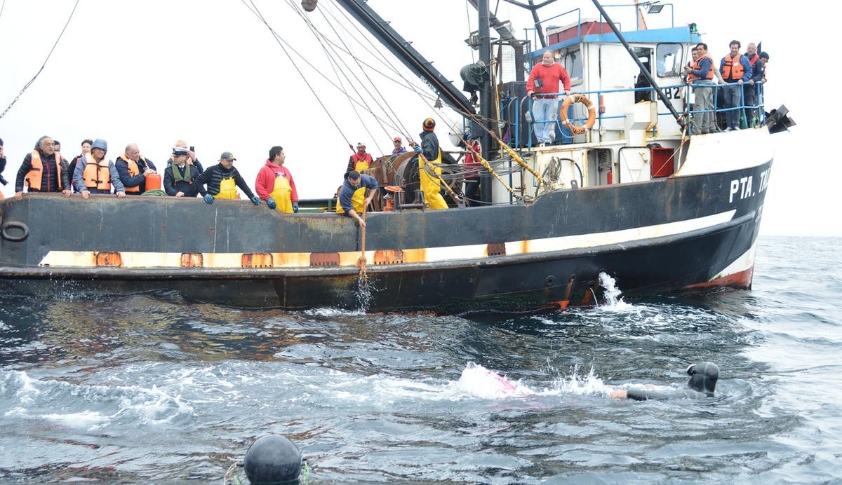Coquimbo: Recuperan líneas de cultivos acuícolas para reimpulsar la actividad en Tongoy