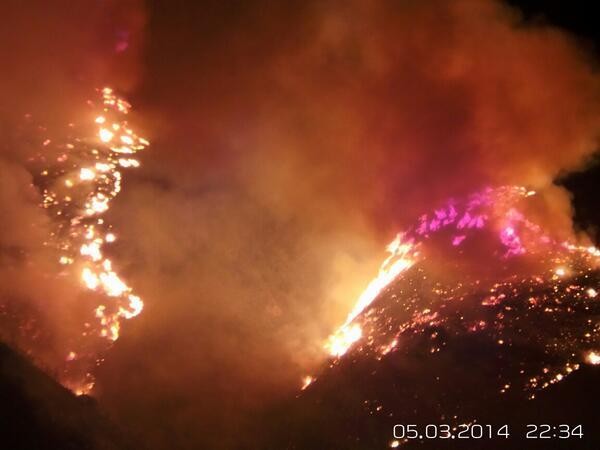 Incendio forestal se registró en la comuna de Los Vilos