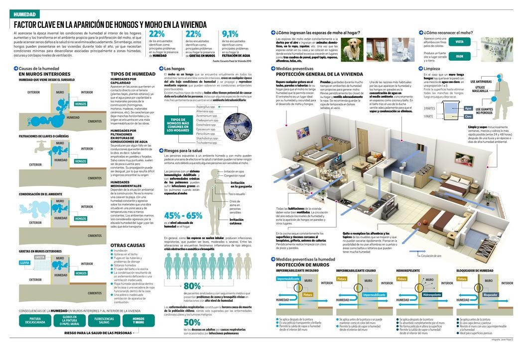 Infografía Humedad En La Vivienda Diario El Día1932 0453