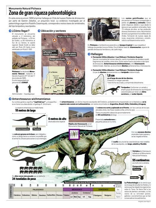 Infografía Monumento Natural Pichasca