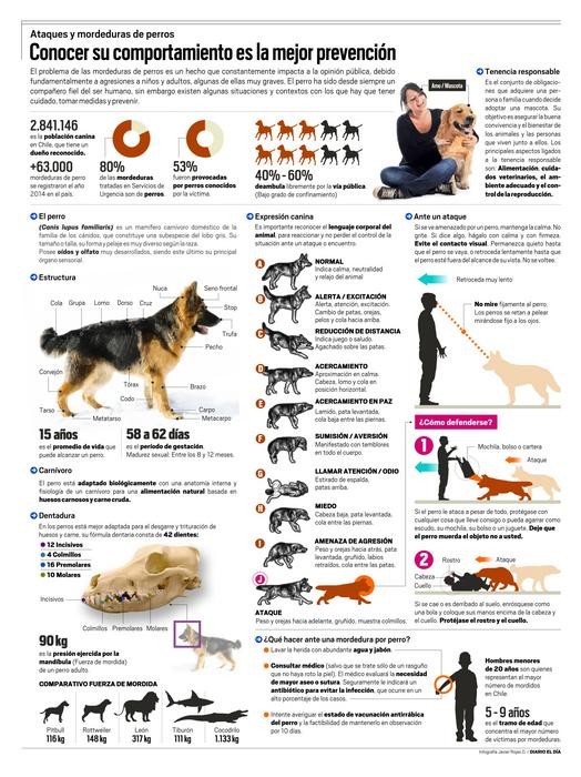 Infografía Mordeduras Y Ataques De Perros Diario El Día6684 9494