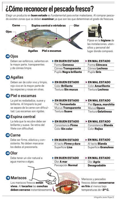 Claves para reconocer el pescado fresco