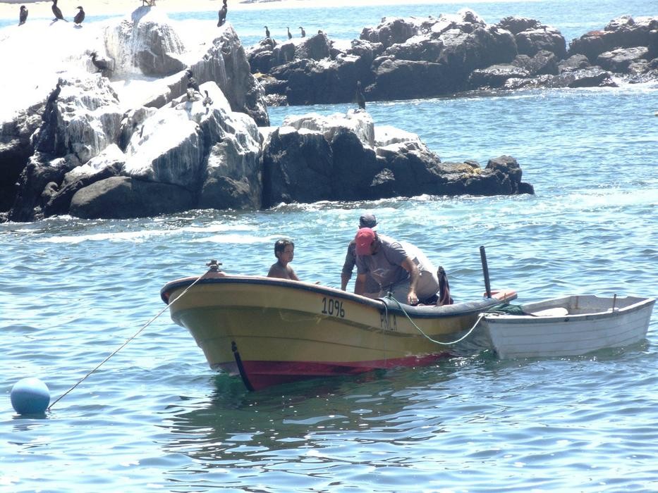 Región de Coquimbo recibe este año el Congreso de Ciencias del Mar