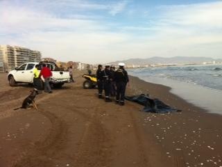 Ahora: Encuentran cuerpo de trabajador de la construcción  desaparecido en el mar 