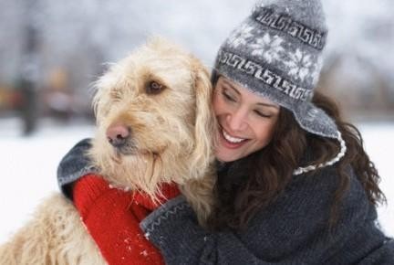 Alimentación y cuidados de las mascotas en invierno