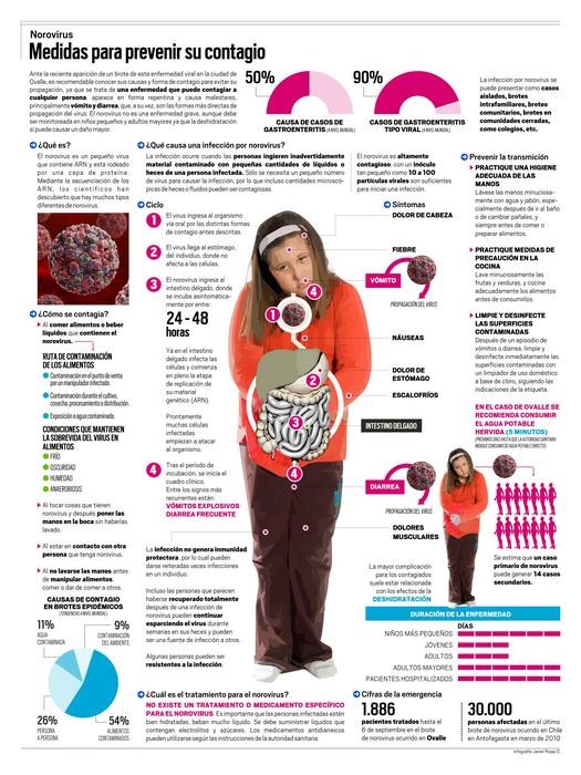 Infografía: Norovirus, medidas para prevenir su contagio