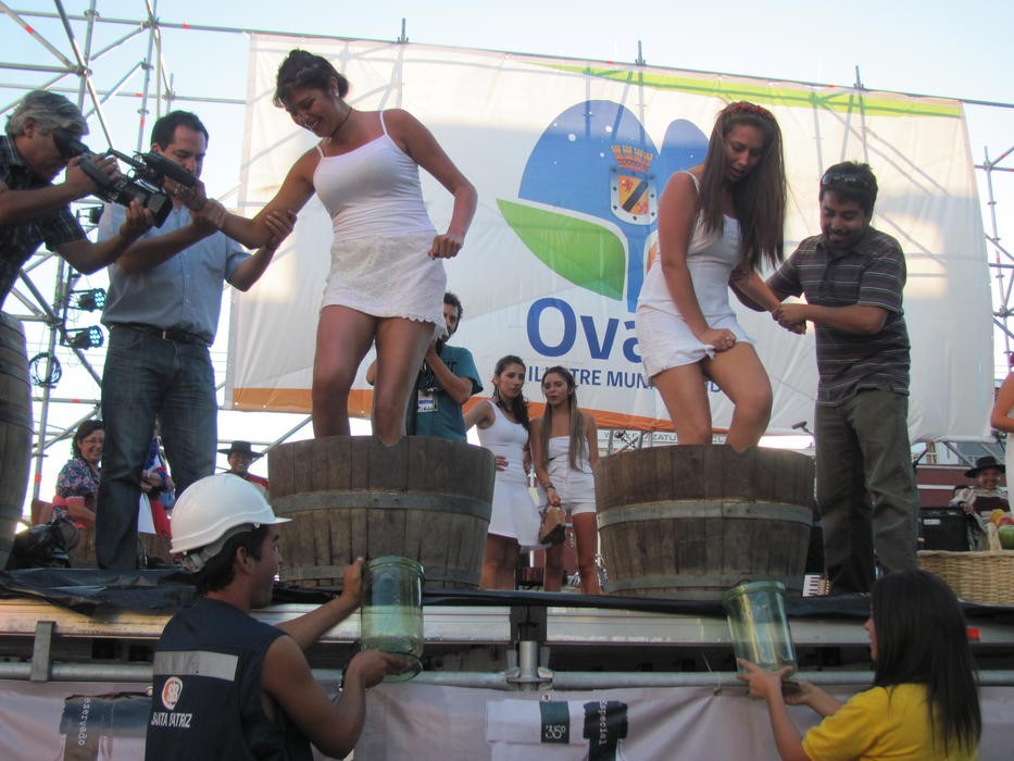 Fiesta de la Vendimia ya tiene su reina