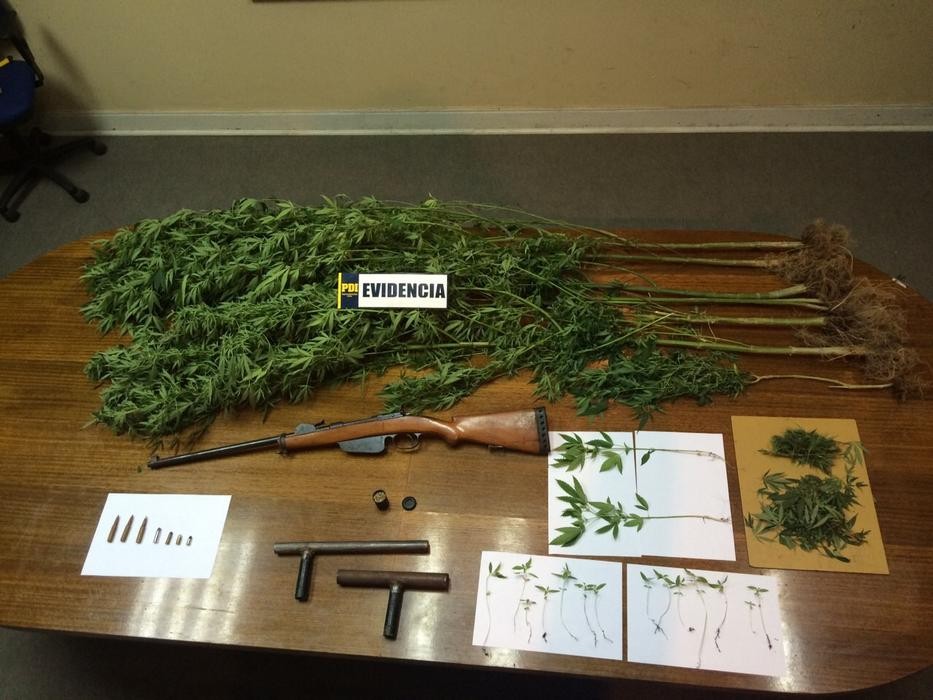 En la localidad de El Molle, Vicuña: PDI detuvo a microtraficante con drogas y armamento