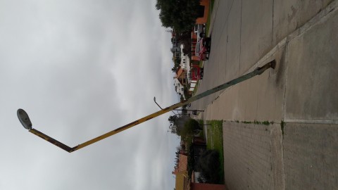 Imagen de Dinko koscina