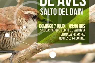 caminata aves