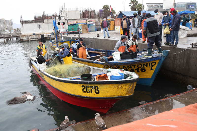 Los pescadores artesanales de Coquimbo reconocen que el acuerdo con la pesquera Orizon les ha servido en tiempos complicados como ahora. Afuera”