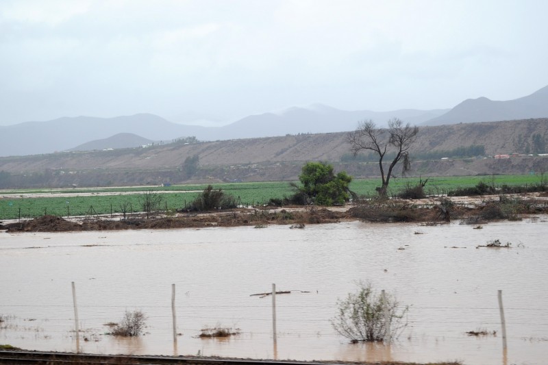 Tras la bajada de la quebrada Santa Gracia, en el sector de Islón, se vieron inundados cultivos de alcachofas, lechugas y apios.