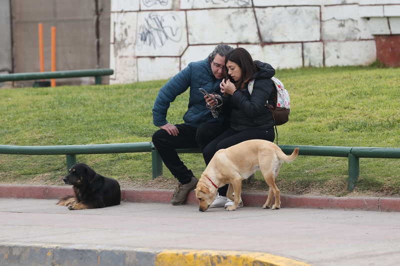 A algunos no les molesta la presencia de canes, como a esta pareja venida de Curicó que llegó a pasar las vacaciones de invierno a La Serena y a disfrutar de la belleza de la ciudad y sus playas.