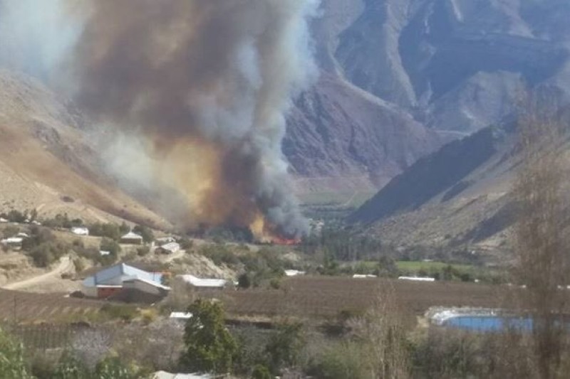 Incendio en Paihuano