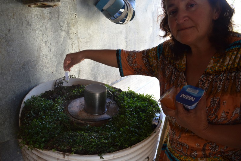 La vivienda no cuenta con electricidad por lo que debe refrigerar su insulina en un improvisado tambor con agua, cubierto con tierra y plantas.