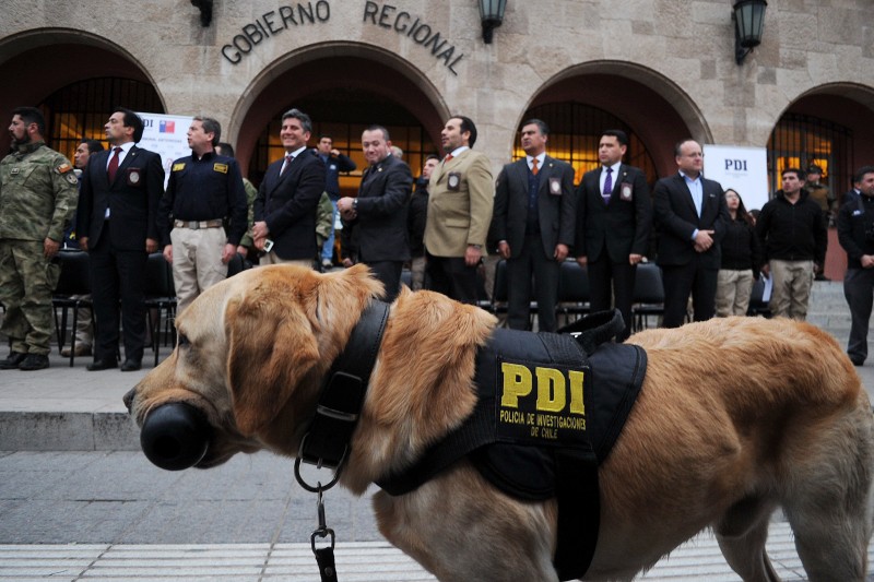Los perros policiales cumplen una labor primordial en el combate del microtráfico