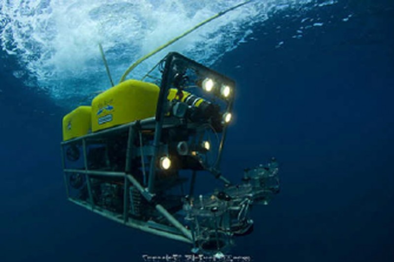 El ROV (Remotely Operated Vehicle) con el que colaboró Oceana fue el que hizo posible este hallazgo. 