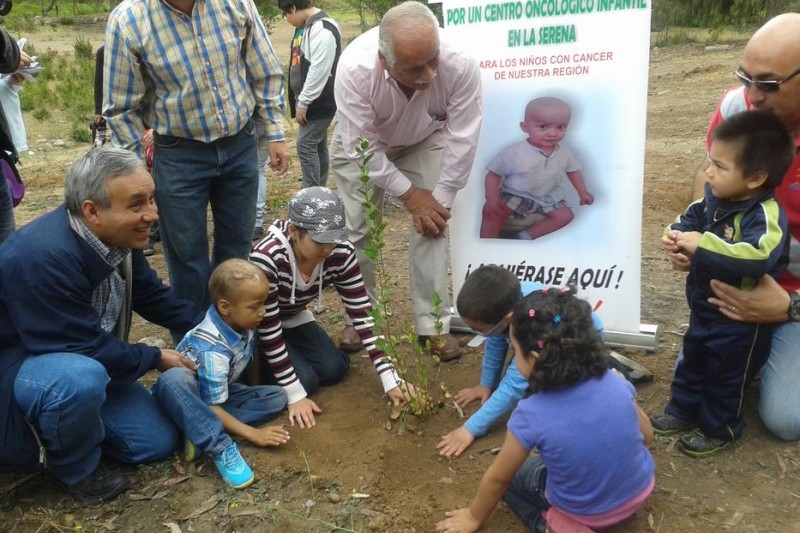 Plantan árboles por los niños con cáncer 
