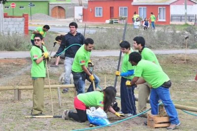 Jóvenes voluntarios de Injuv arborizan sector de Caleta San Pedro 