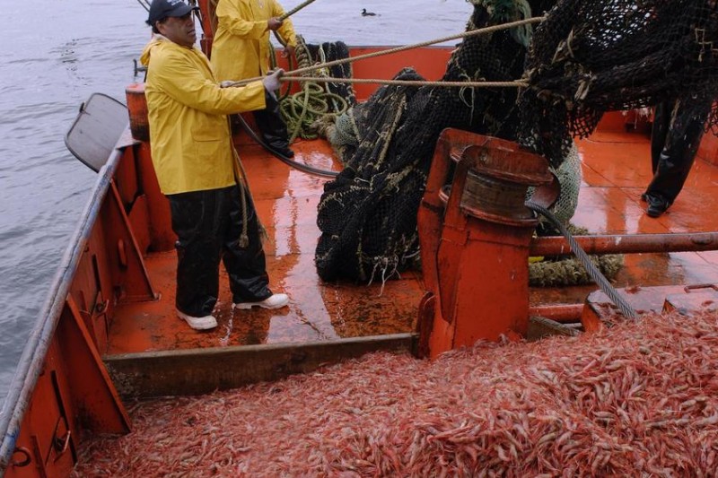 Buscan formar a nuevos tripulantes de naves de pesca