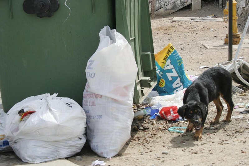 Municipio y Demarco analizan situación  de retiro de residuos domiciliarios en La Antena